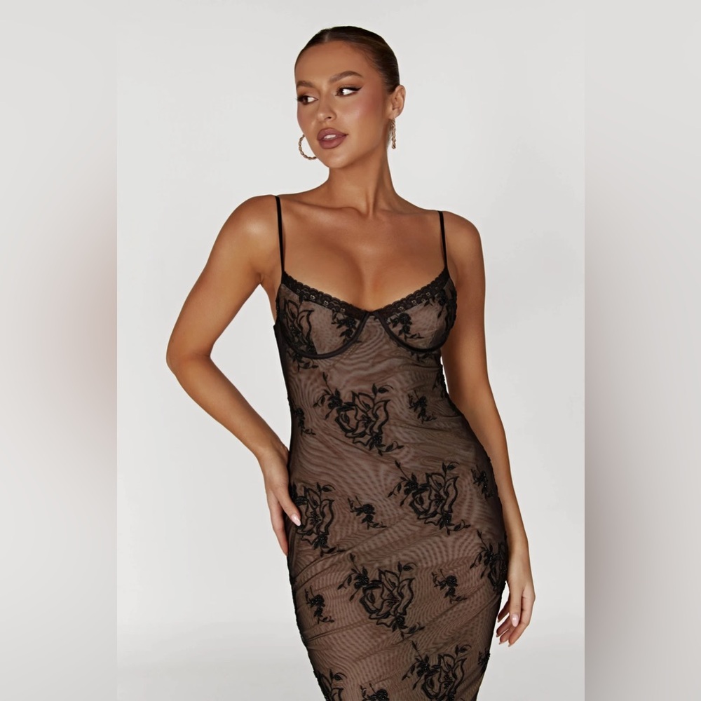 NWT Venice Embroidered Mesh Midi Dress